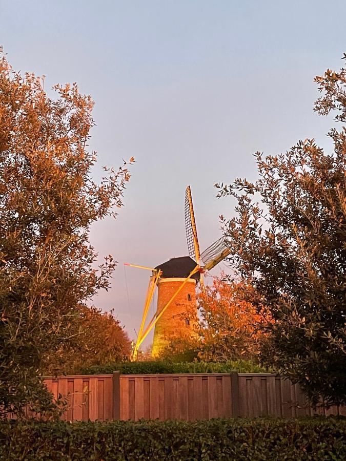 Gastenverblijf Bij De Buuren Dirksland Dış mekan fotoğraf
